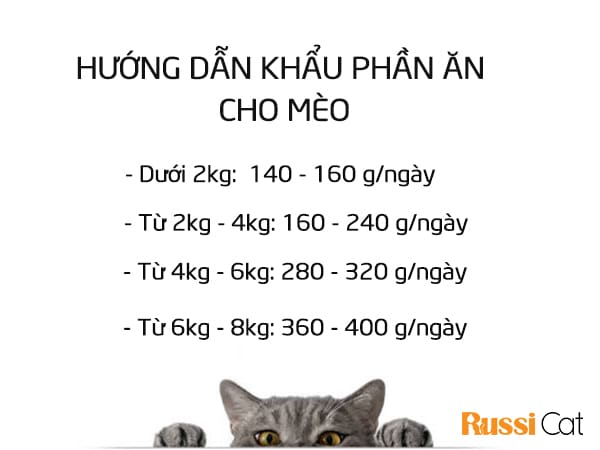 Khẩu phần ăn cho mèo