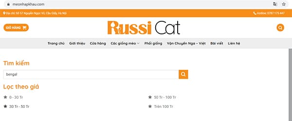 Cách mua mèo nhập Nga tại RussiCat