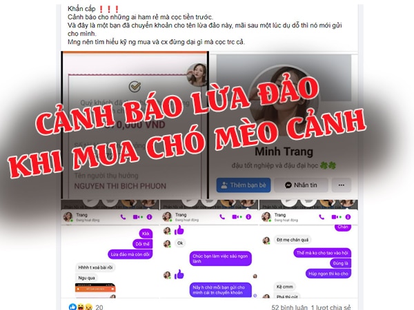 Cảnh báo lừa đảo khi mua chó mèo cảnh