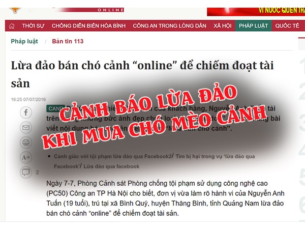 Cảnh báo lừa đảo khi mua chó mèo cảnh