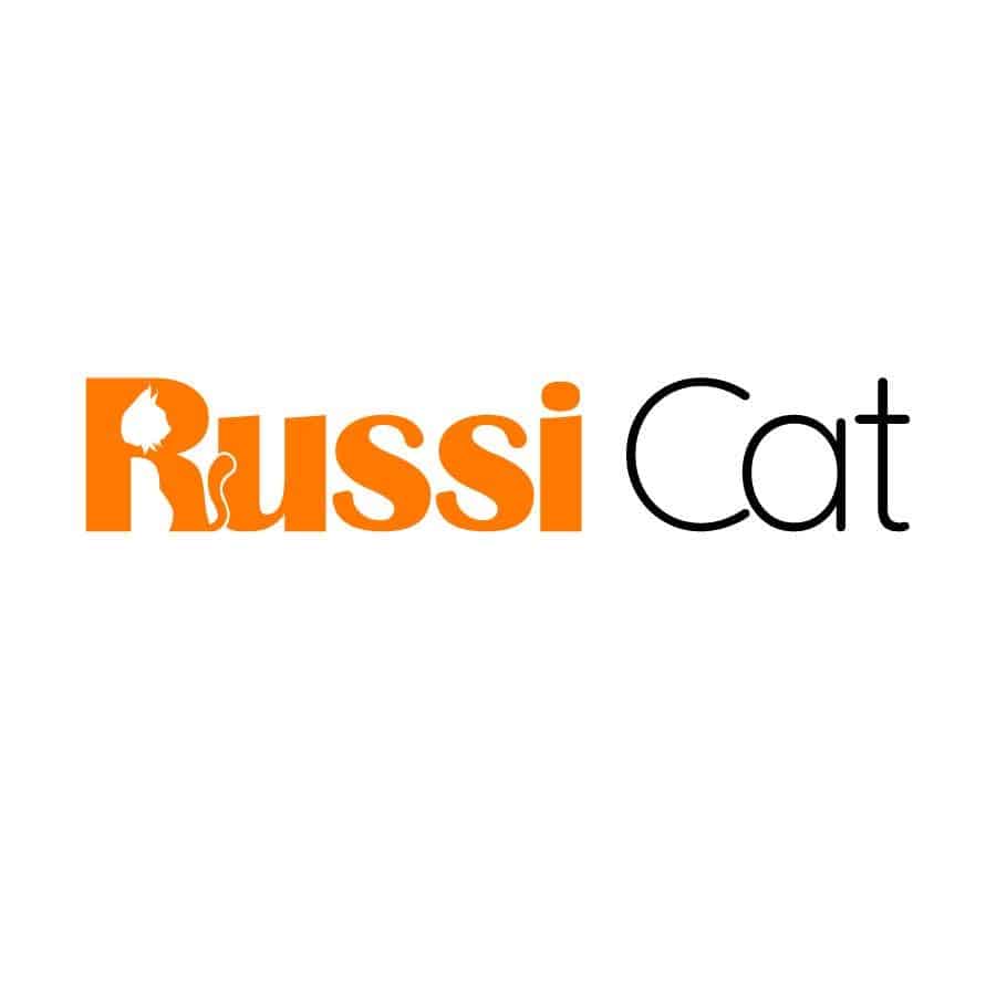 RussiCat | Order - Nhập Khẩu - Vận Chuyển Thú Cưng Thuần Chủng