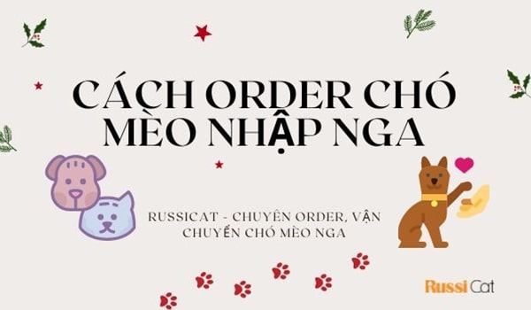 Cách order chó mèo nhập Nga