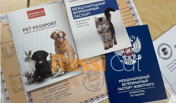 Phả hệ, hộ chiếu, giấy tờ của chó mèo nhập