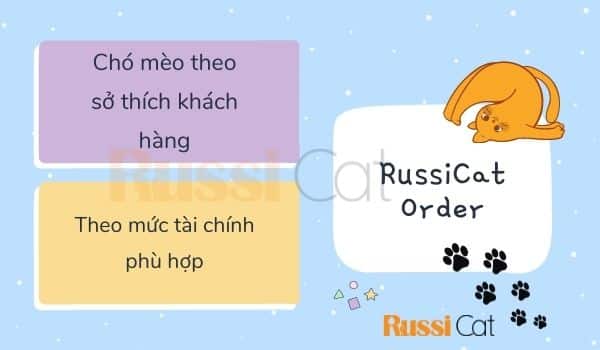Tại sao nên mua chó mèo nhập tại Russicat