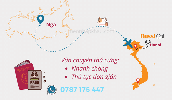 Vận chuyển hộ chó mèo từ Nga về Việt Nam