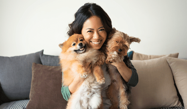 CHÓ POMERANIAN – NGUỒN GỐC, ĐẶC ĐIỂM, GIÁ VÀ NƠI BÁN