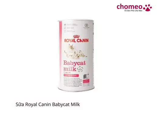 Sữa bột cho mèo sơ sinh Royal Canin