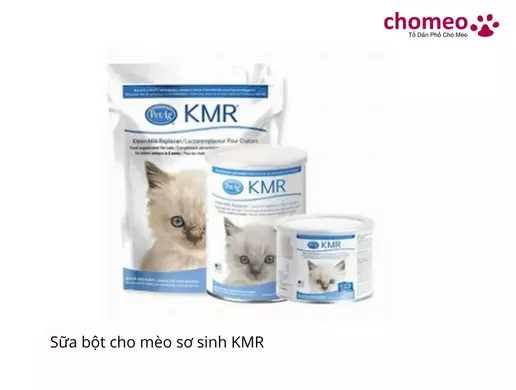 Sữa bột cho mèo sơ sinh KMR