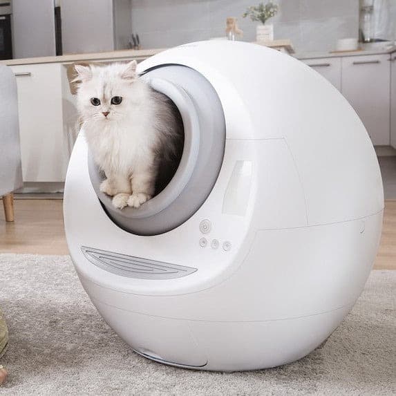 Tự làm cát vệ sinh cho mèo – Giải pháp an toàn và tiết kiệm cho thú cưng yêu thương của bạn Tự Làm Cát Vệ Sinh Cho Mèo – Giải Pháp An Toàn Và Tiết Kiệm Cho Thú Cưng Yêu Thương Của Bạn