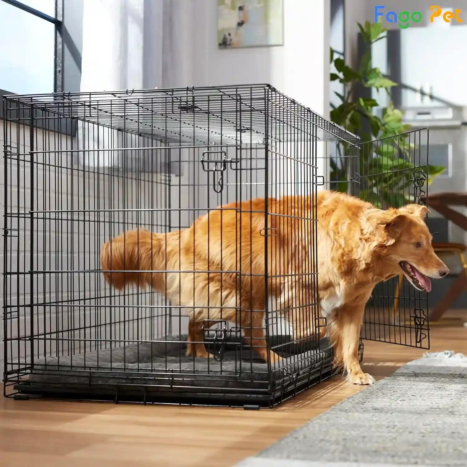 Cách Làm Chuồng Chó Hướng Dẫn Chi Tiết Từ A đến Z để Xây Dựng
