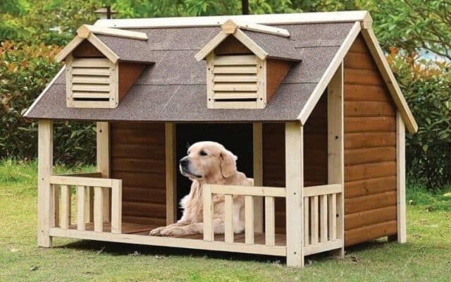 Cách Làm Chuồng Chó Hướng Dẫn Chi Tiết Từ A đến Z để Xây Dựng